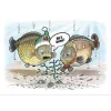 Angling Direct AD Carpy Christmas Card- Miscellaneous