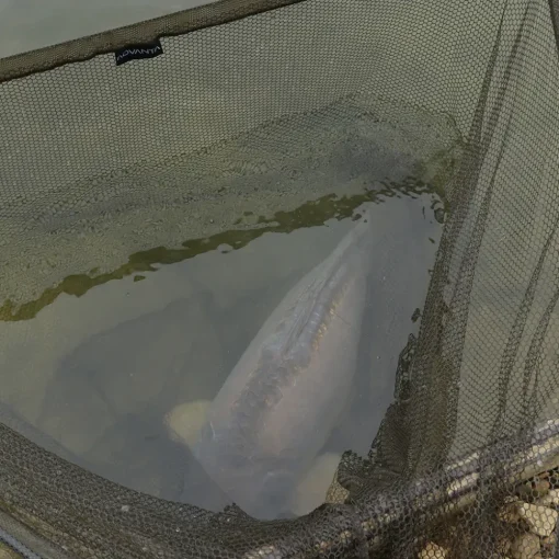 Advanta 42 Inch Landing Net & 6ft 2 Piece Handle- Nets