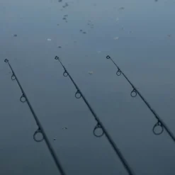 Advanta Carp Fishing Rod- Rods