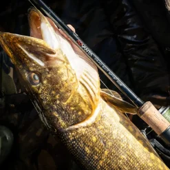 Advanta Deadbait Fishing Rod