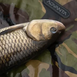 Advanta Specimen Twin Tip Rod