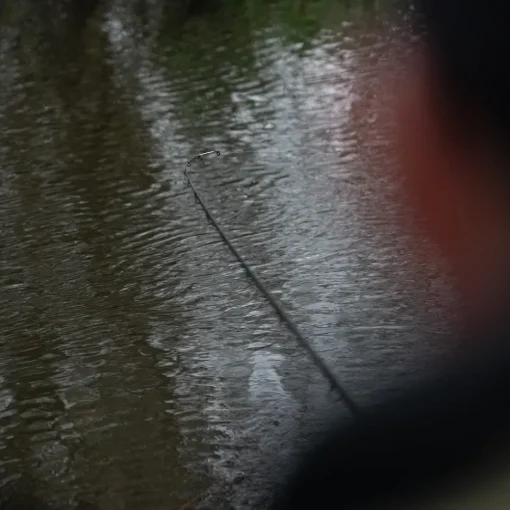 Advanta Specimen Twin Tip Rod