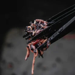 Avid Carp Worm Choppers- Tools