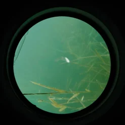Carp Spirit Water Scanner- Tech