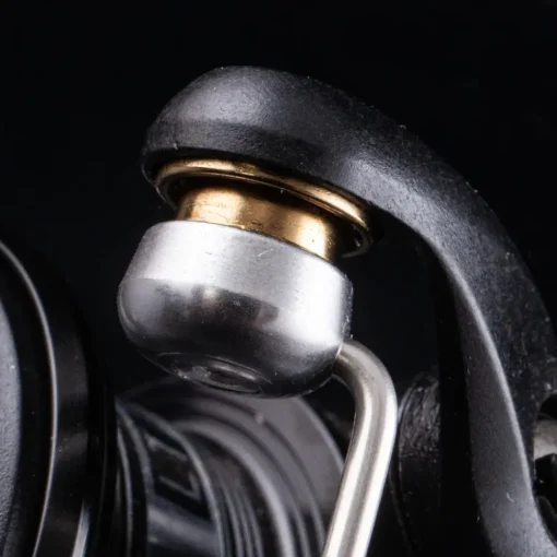 Daiwa 19 Black Widow BR LT Reels- Reels