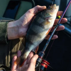 Daiwa Powermesh AX Spinning Fishing Rod