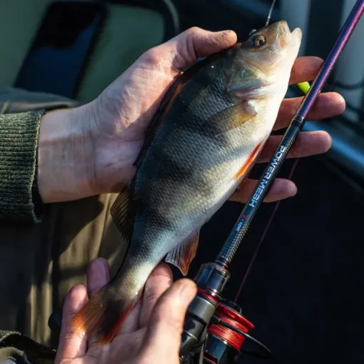 Daiwa Powermesh AX Spinning Fishing Rod