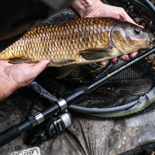 Discover Feeder Fishing Rod & Reel Combo