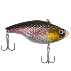 Discover Predator Lure Box - Medium Pike