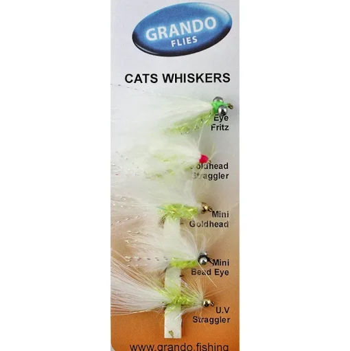 Dragon Fly Dragon Cats Whiskers