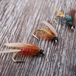 Dragon Fly Dragon Wet Fly 1