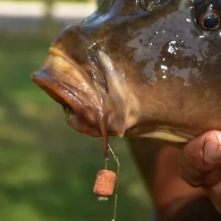 Dynamite Baits The Source Wafters- Bait & Additives
