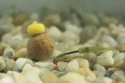 Enterprise Tackle Popup Sweetcorn