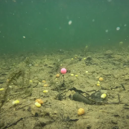 ESP Artificial Buoyant Boilies