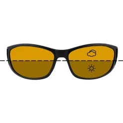 Fortis Eyewear Fortis Wraps Fishing Sunglasses - Switch Technology- Sunglasses | Carp Essentials