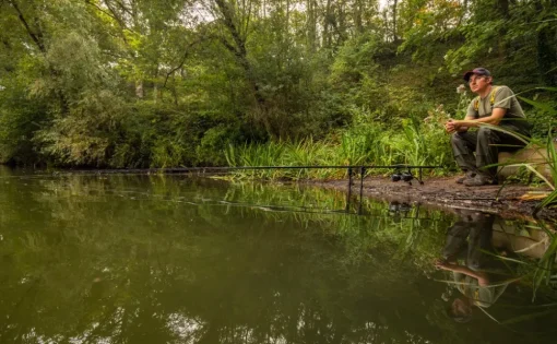 Fox Horizon X4 Abbreviated Handle Fishing Rod- Rods