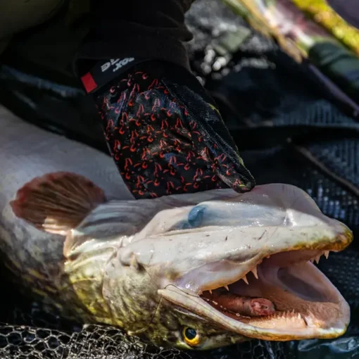 Fox Rage Fishing Glove