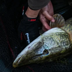 Fox Rage Fishing Glove