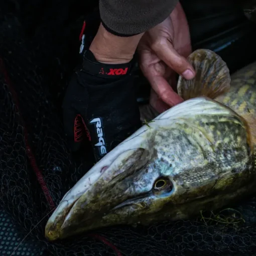 Fox Rage Fishing Glove