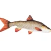 Gaby Fish Pillows The Barbel- Sleeping Bags & Pillows