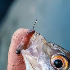 Guru Kuranku Barbed Fishing Hook