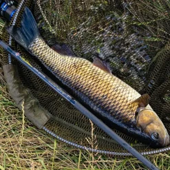 John Wilson Avon Quiver Fishing Rod