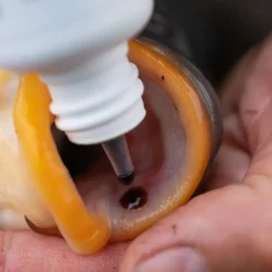 Korda Carp Care Kit 2020