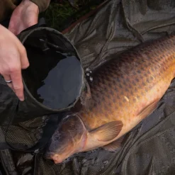 Korda Compac Water Bucket- Fish Care