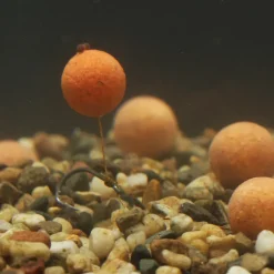 Mainline Balanced Wafters- Bait & Additives
