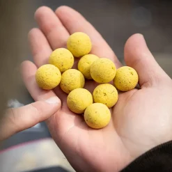 Mainline Essential Cell Shelf Life Boilies- Bait & Additives