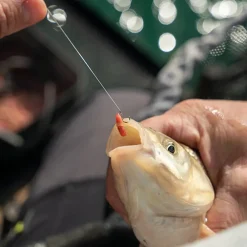 Matrix Super Soft Fishing Bait Bands