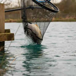Preston Carp XS Landing Net