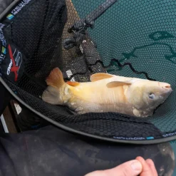Preston Carp XS Landing Net