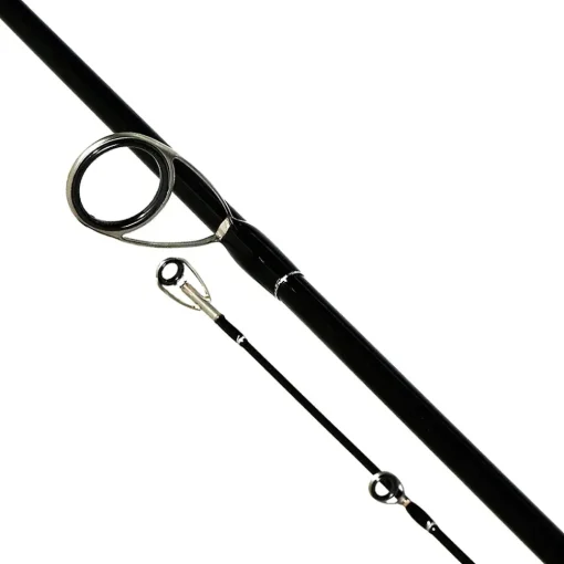 Shimano Bassterra Sea Bass Fishing Rod