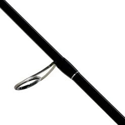Shimano Bassterra Sea Bass Fishing Rod