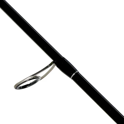 Shimano Bassterra Sea Bass Fishing Rod