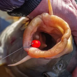 Sonubaits Band'um Sinkers Fluoro