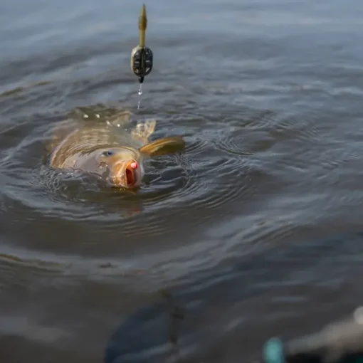 Sonubaits Micro Band'Um Fishing Wafters