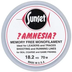 Sunset Amnesia