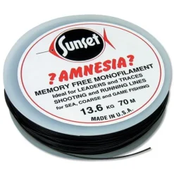 Sunset Amnesia