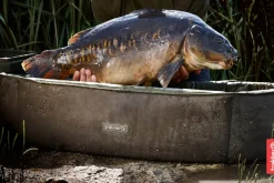 Trakker Sanctuary Compact Oval Crib- Fish Care